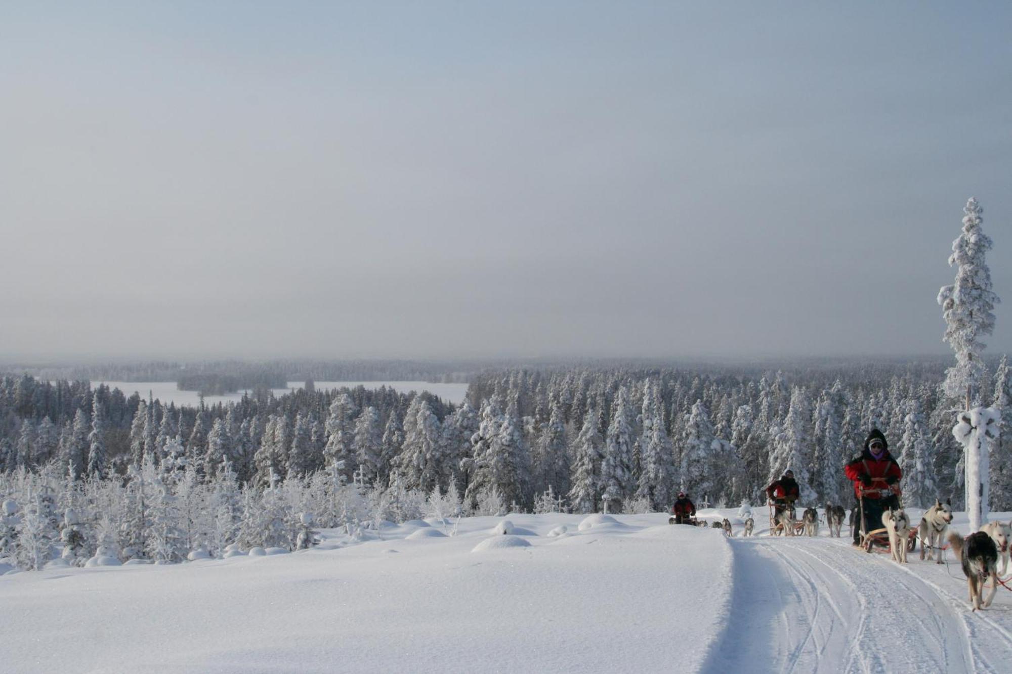 Saija Lodge Jokijärvi Dış mekan fotoğraf