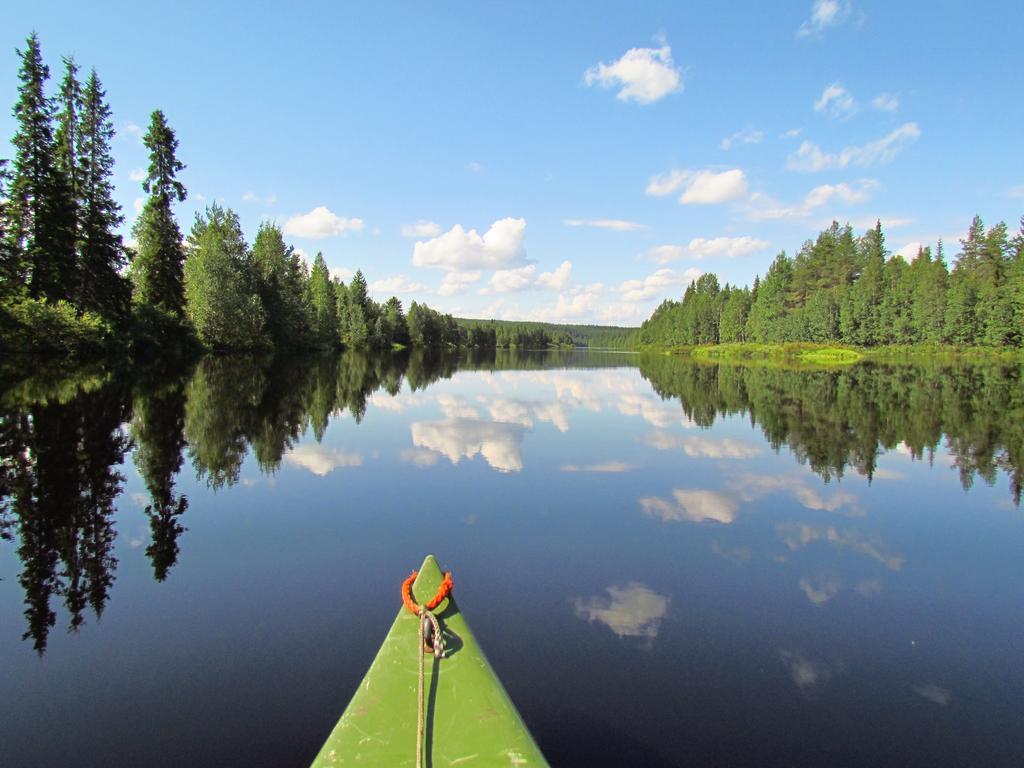 Saija Lodge Jokijärvi Dış mekan fotoğraf